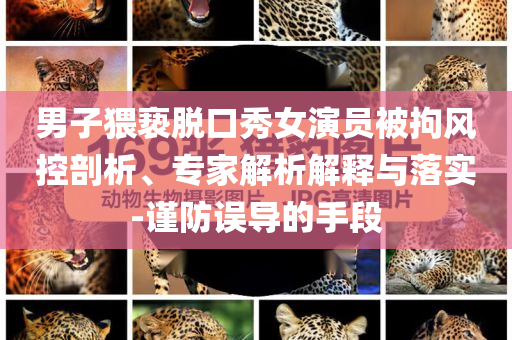男子猥褻脫口秀女演員被拘風(fēng)控剖析、專(zhuān)家解析解釋與落實(shí)-謹(jǐn)防誤導(dǎo)的手段