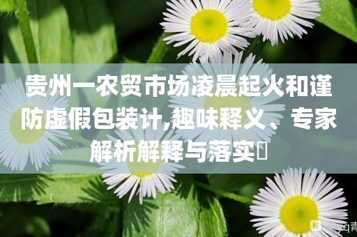 貴州一農(nóng)貿(mào)市場(chǎng)凌晨起火和謹(jǐn)防虛假包裝計(jì),趣味釋義、專家解析解釋與落實(shí)?