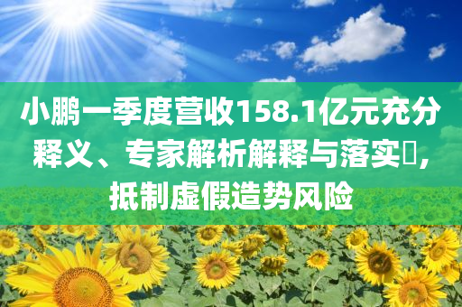 小鵬一季度營收158.1億元充分釋義、專家解析解釋與落實?,抵制虛假造勢風險