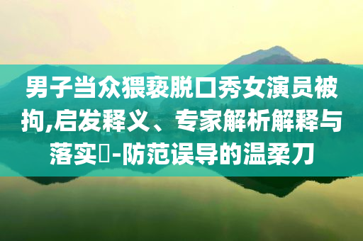 男子當眾猥褻脫口秀女演員被拘,啟發(fā)釋義、專家解析解釋與落實?-防范誤導的溫柔刀