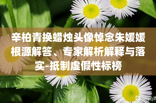 辛柏青換蠟燭頭像悼念朱媛媛根源解答、專家解析解釋與落實-抵制虛假性標榜