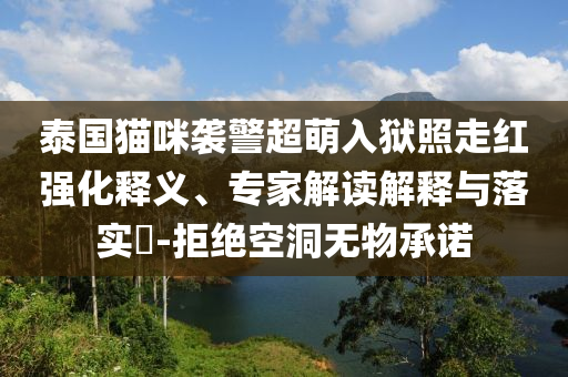 泰國貓咪襲警超萌入獄照走紅強(qiáng)化釋義、專家解讀解釋與落實(shí)?-拒絕空洞無物承諾