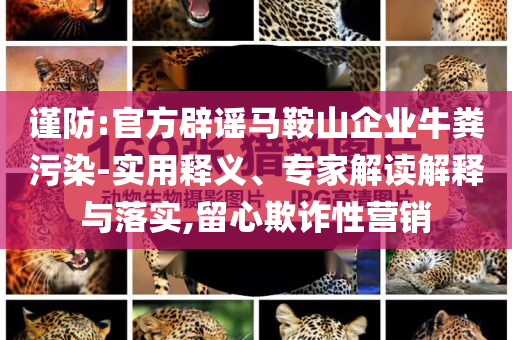謹(jǐn)防:官方辟謠馬鞍山企業(yè)牛糞污染-實用釋義、專家解讀解釋與落實,留心欺詐性營銷