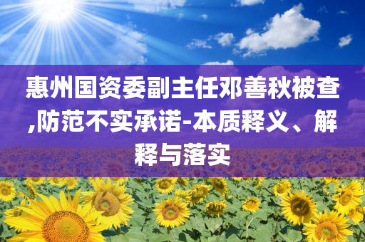 惠州國資委副主任鄧善秋被查,防范不實承諾-本質(zhì)釋義、解釋與落實