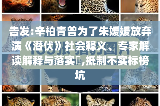 告發(fā):辛柏青曾為了朱媛媛放棄演《潛伏》社會釋義、專家解讀解釋與落實?,抵制不實標(biāo)榜坑