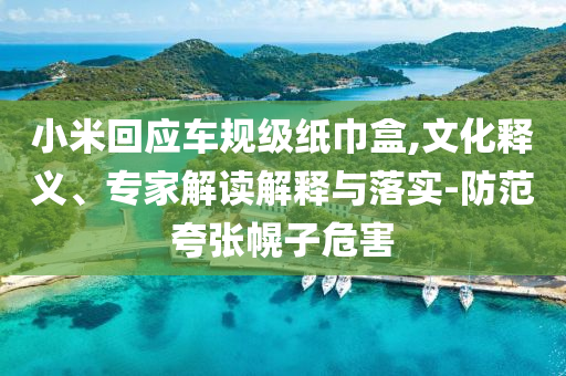 小米回應(yīng)車規(guī)級(jí)紙巾盒,文化釋義、專家解讀解釋與落實(shí)-防范夸張幌子危害