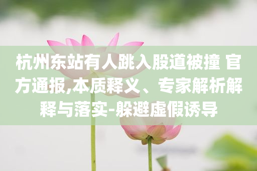 杭州東站有人跳入股道被撞 官方通報(bào),本質(zhì)釋義、專家解析解釋與落實(shí)-躲避虛假誘導(dǎo)