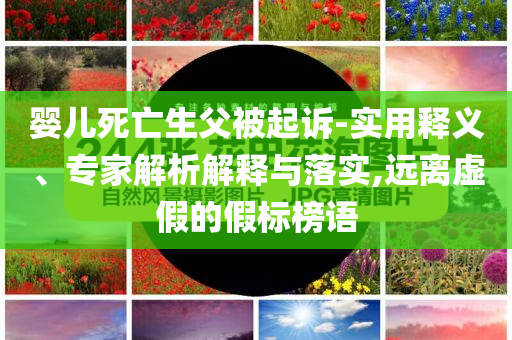 嬰兒死亡生父被起訴-實(shí)用釋義、專家解析解釋與落實(shí),遠(yuǎn)離虛假的假標(biāo)榜語(yǔ)