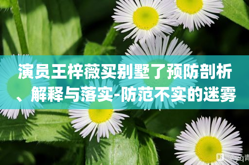 演員王梓薇買別墅了預(yù)防剖析、解釋與落實(shí)-防范不實(shí)的迷霧