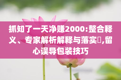 抓知了一天凈賺2000:整合釋義、專家解析解釋與落實?,留心誤導包裝技巧