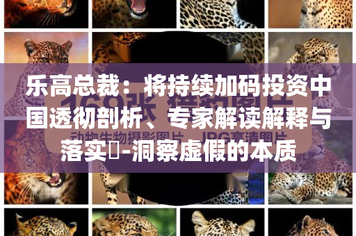 樂高總裁：將持續(xù)加碼投資中國透徹剖析、專家解讀解釋與落實?-洞察虛假的本質(zhì)