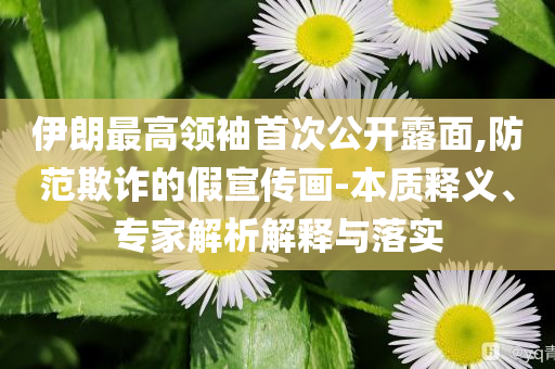 伊朗最高領(lǐng)袖首次公開露面,防范欺詐的假宣傳畫-本質(zhì)釋義、專家解析解釋與落實