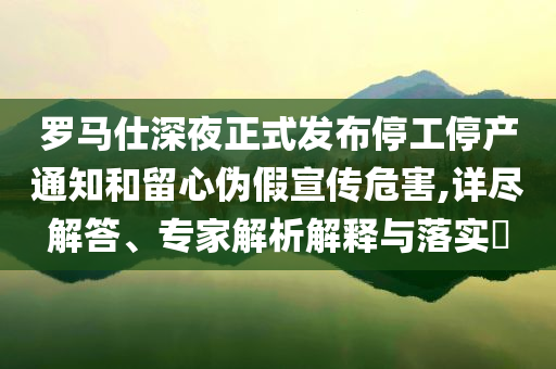 羅馬仕深夜正式發(fā)布停工停產(chǎn)通知和留心偽假宣傳危害,詳盡解答、專家解析解釋與落實(shí)?