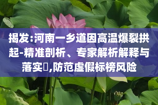 揭發(fā):河南一鄉(xiāng)道因高溫爆裂拱起-精準(zhǔn)剖析、專家解析解釋與落實(shí)?,防范虛假標(biāo)榜風(fēng)險(xiǎn)