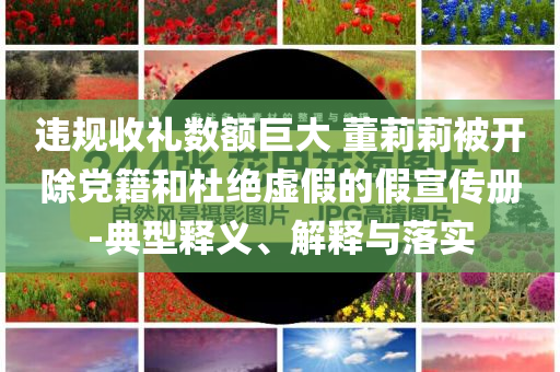 違規(guī)收禮數(shù)額巨大 董莉莉被開(kāi)除黨籍和杜絕虛假的假宣傳冊(cè)-典型釋義、解釋與落實(shí)