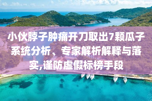 小伙脖子腫痛開(kāi)刀取出7顆瓜子系統(tǒng)分析、專(zhuān)家解析解釋與落實(shí),謹(jǐn)防虛假標(biāo)榜手段