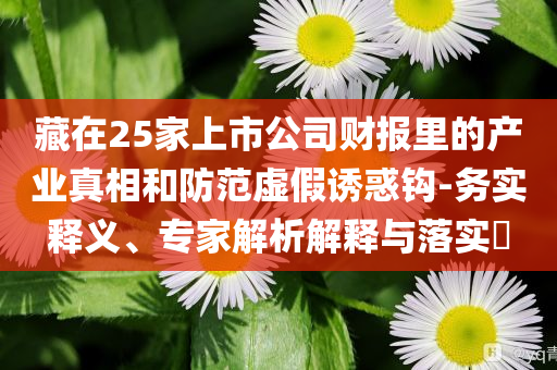 藏在25家上市公司財(cái)報(bào)里的產(chǎn)業(yè)真相和防范虛假誘惑鉤-務(wù)實(shí)釋義、專家解析解釋與落實(shí)?