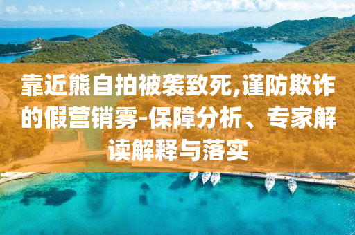 靠近熊自拍被襲致死,謹防欺詐的假營銷霧-保障分析、專家解讀解釋與落實