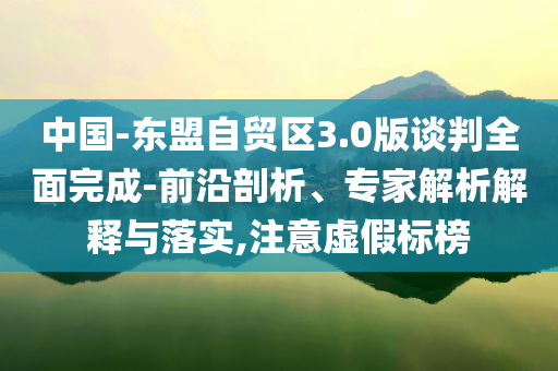 中國-東盟自貿(mào)區(qū)3.0版談判全面完成-前沿剖析、專家解析解釋與落實(shí),注意虛假標(biāo)榜