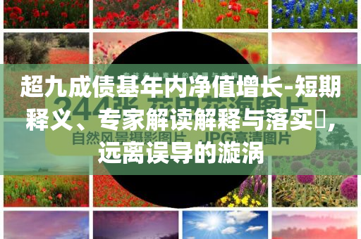 超九成債基年內(nèi)凈值增長-短期釋義、專家解讀解釋與落實?,遠離誤導的漩渦