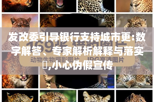 發(fā)改委引導銀行支持城市更:數(shù)字解答、專家解析解釋與落實?,小心偽假宣傳