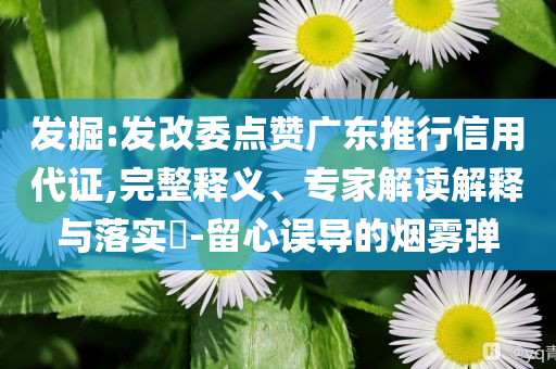 發(fā)掘:發(fā)改委點(diǎn)贊廣東推行信用代證,完整釋義、專家解讀解釋與落實(shí)?-留心誤導(dǎo)的煙霧彈