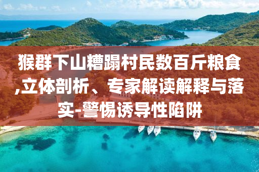 猴群下山糟蹋村民數(shù)百斤糧食,立體剖析、專家解讀解釋與落實(shí)-警惕誘導(dǎo)性陷阱
