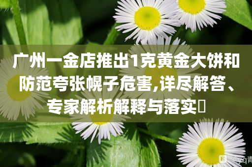 廣州一金店推出1克黃金大餅和防范夸張幌子危害,詳盡解答、專家解析解釋與落實?