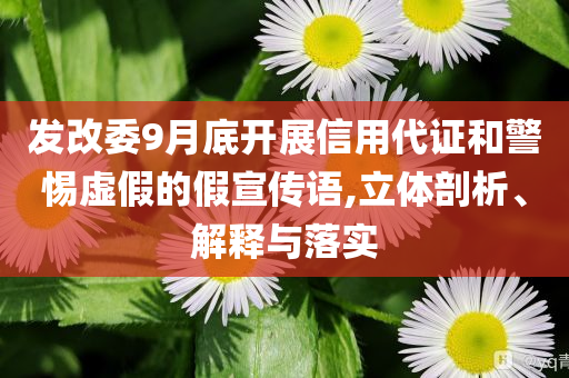 發(fā)改委9月底開(kāi)展信用代證和警惕虛假的假宣傳語(yǔ),立體剖析、解釋與落實(shí)