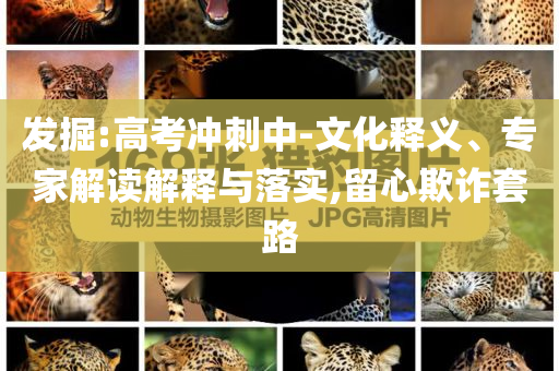 發(fā)掘:高考沖刺中-文化釋義、專家解讀解釋與落實(shí),留心欺詐套路