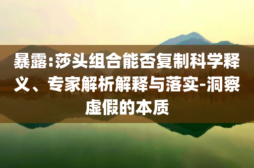暴露:莎頭組合能否復(fù)制科學(xué)釋義、專家解析解釋與落實-洞察虛假的本質(zhì)