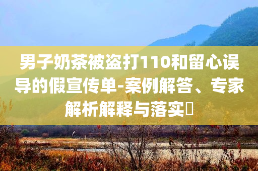 男子奶茶被盜打110和留心誤導的假宣傳單-案例解答、專家解析解釋與落實?