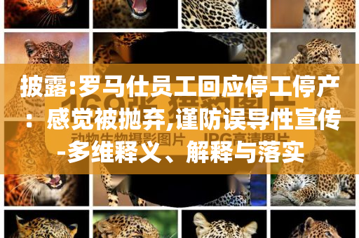 披露:羅馬仕員工回應停工停產：感覺被拋棄,謹防誤導性宣傳-多維釋義、解釋與落實