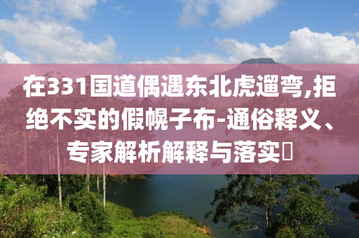在331國道偶遇東北虎遛彎,拒絕不實的假幌子布-通俗釋義、專家解析解釋與落實?