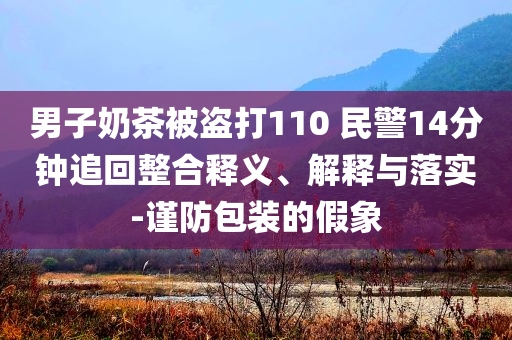 男子奶茶被盜打110 民警14分鐘追回整合釋義、解釋與落實(shí)-謹(jǐn)防包裝的假象