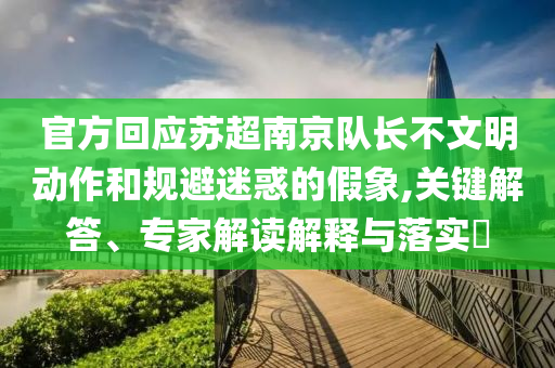 官方回應(yīng)蘇超南京隊(duì)長不文明動(dòng)作和規(guī)避迷惑的假象,關(guān)鍵解答、專家解讀解釋與落實(shí)?
