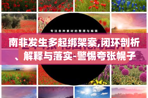 南非發(fā)生多起綁架案,閉環(huán)剖析、解釋與落實-警惕夸張幌子