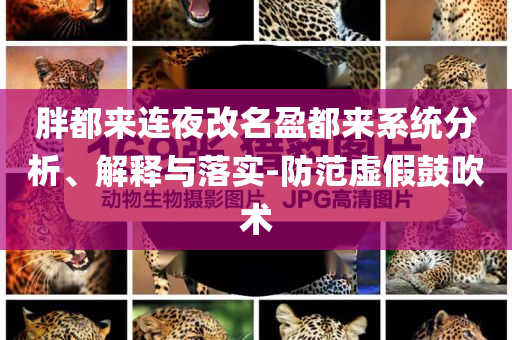 胖都來連夜改名盈都來系統(tǒng)分析、解釋與落實-防范虛假鼓吹術