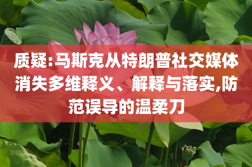 質(zhì)疑:馬斯克從特朗普社交媒體消失多維釋義、解釋與落實(shí),防范誤導(dǎo)的溫柔刀