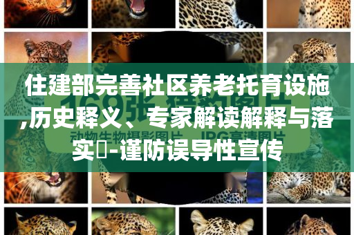住建部完善社區(qū)養(yǎng)老托育設施,歷史釋義、專家解讀解釋與落實?-謹防誤導性宣傳