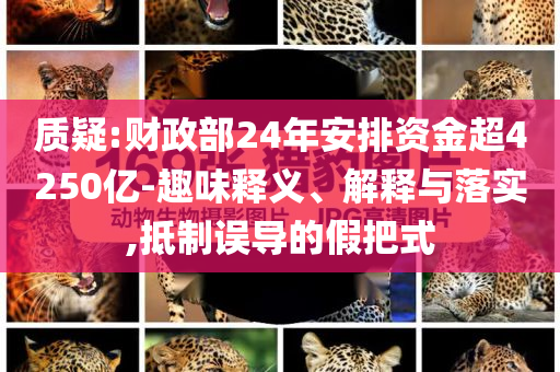 質(zhì)疑:財政部24年安排資金超4250億-趣味釋義、解釋與落實,抵制誤導的假把式