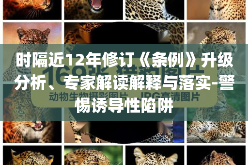 時隔近12年修訂《條例》升級分析、專家解讀解釋與落實-警惕誘導性陷阱