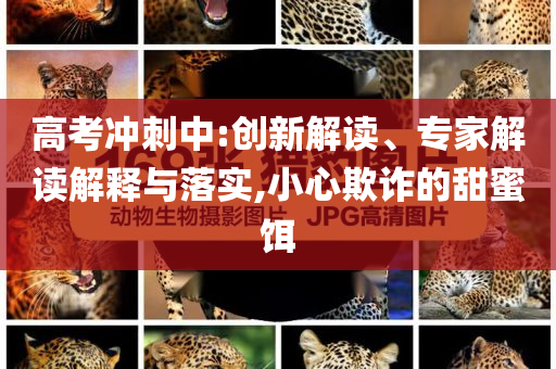 高考沖刺中:創(chuàng)新解讀、專家解讀解釋與落實(shí),小心欺詐的甜蜜餌