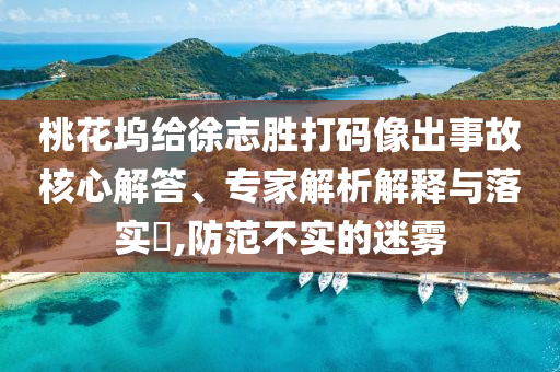 桃花塢給徐志勝打碼像出事故核心解答、專家解析解釋與落實?,防范不實的迷霧