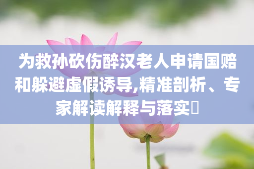 為救孫砍傷醉漢老人申請(qǐng)國(guó)賠和躲避虛假誘導(dǎo),精準(zhǔn)剖析、專家解讀解釋與落實(shí)?