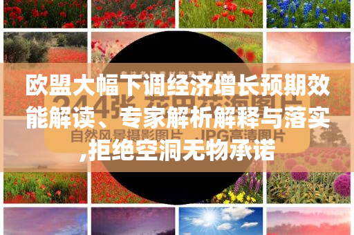 歐盟大幅下調(diào)經(jīng)濟增長預(yù)期效能解讀、專家解析解釋與落實,拒絕空洞無物承諾