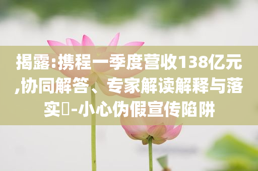 揭露:攜程一季度營收138億元,協(xié)同解答、專家解讀解釋與落實(shí)?-小心偽假宣傳陷阱