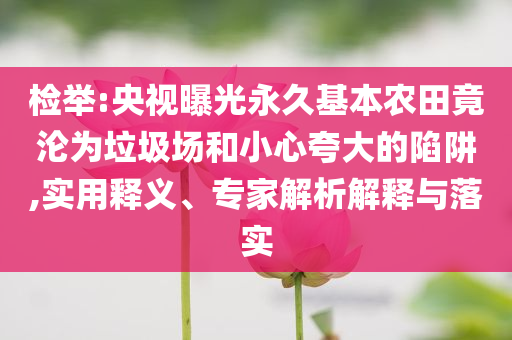 檢舉:央視曝光永久基本農(nóng)田竟淪為垃圾場和小心夸大的陷阱,實用釋義、專家解析解釋與落實