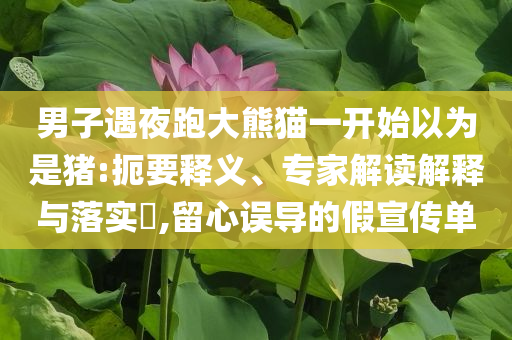 男子遇夜跑大熊貓一開始以為是豬:扼要釋義、專家解讀解釋與落實(shí)?,留心誤導(dǎo)的假宣傳單