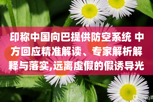 印稱中國向巴提供防空系統(tǒng) 中方回應精準解讀、專家解析解釋與落實,遠離虛假的假誘導光